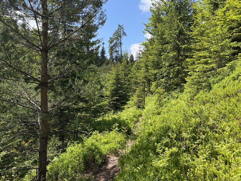 22-05-29 13-07-36 0972